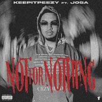 Not For Nothing (feat. Josa)