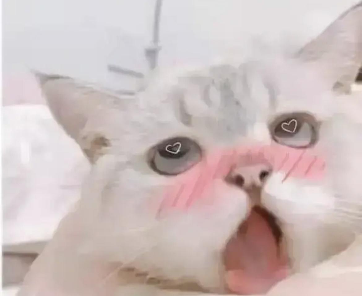 子城