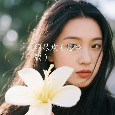 须尽欢 (思乡版) - 太头针封面