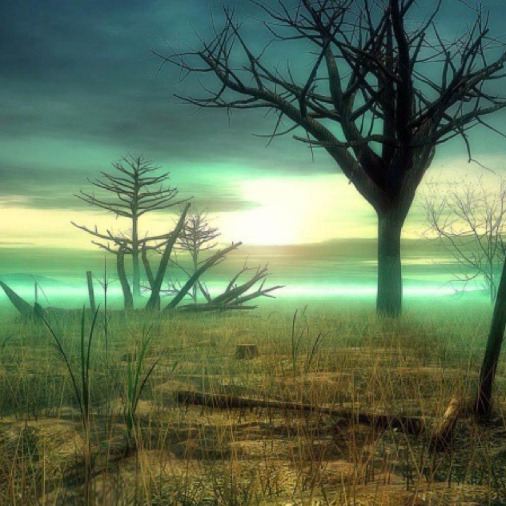 班得瑞20年精选