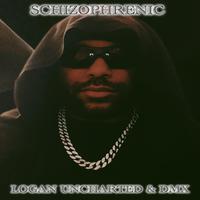 Schizophrenic (feat. DMX)