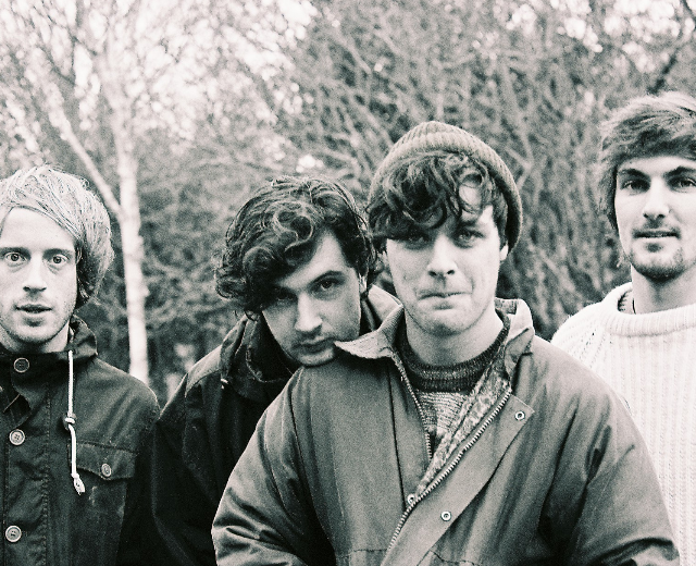 The Shutes