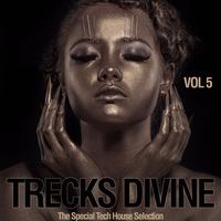 Trecks Divine, Vol. 5