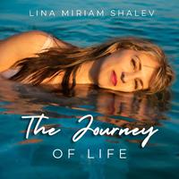 The journey of life (feat. The Ari Shore music project)