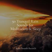 50 Tranquil Rain Sounds for Meditation & Sleep