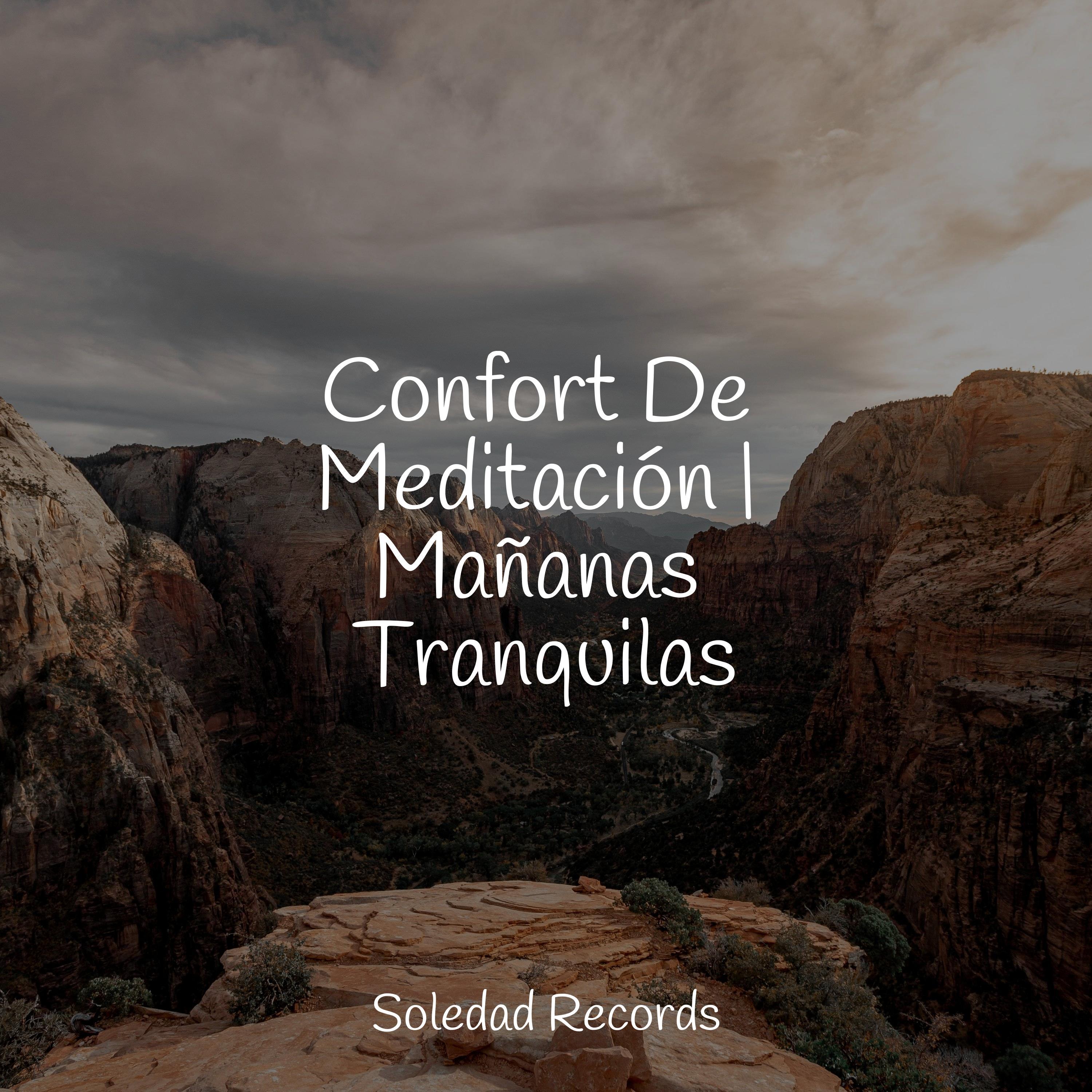 Hamaca En Los Árboles