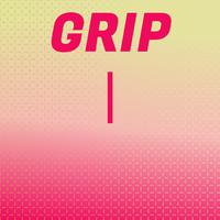 Grip I