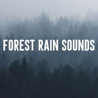 Relaxing Rain Recordings