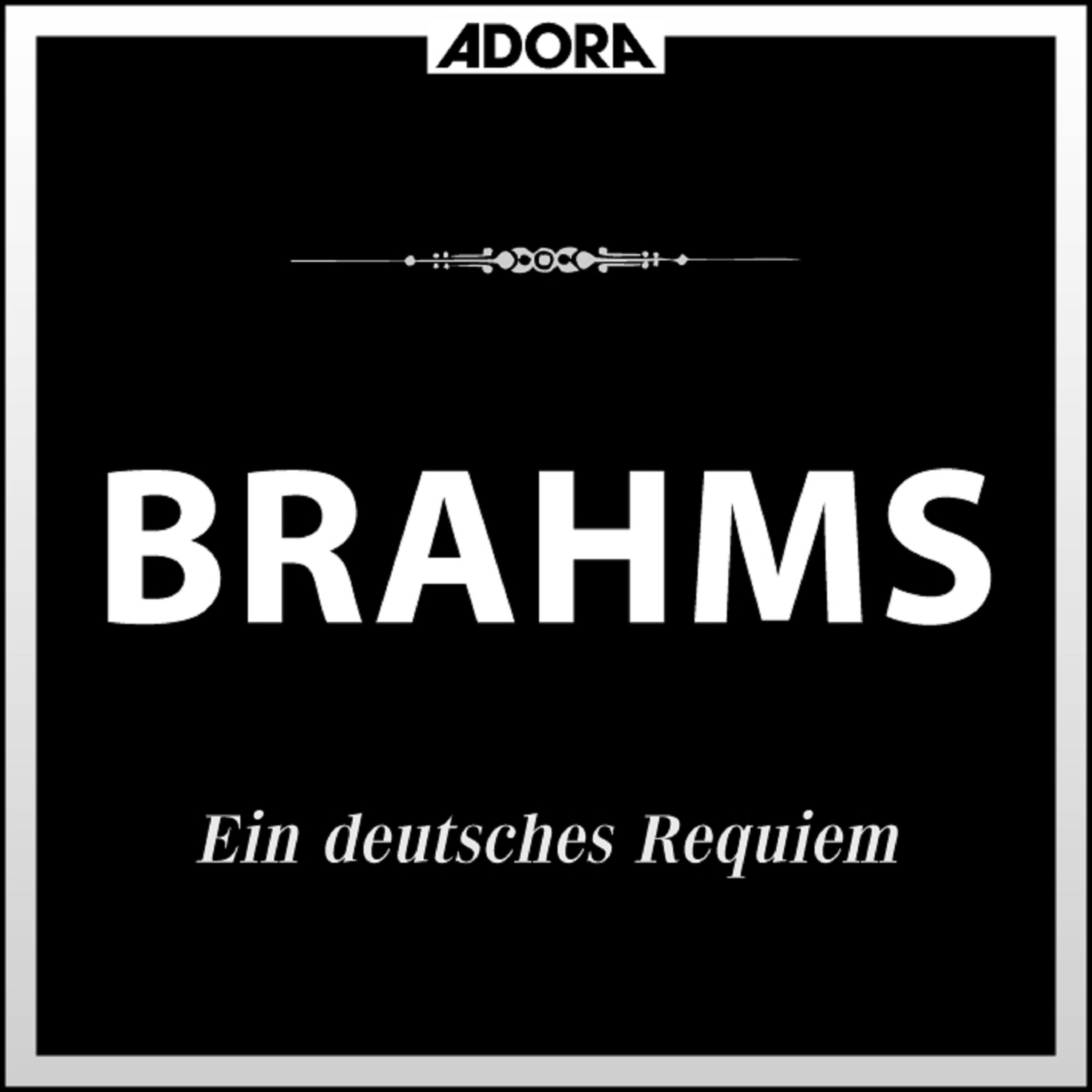 Ein deutsches Requiem, Op. 45: No. 5, Ihr habt nun Traurigkeit