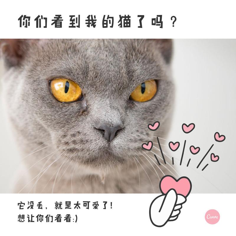 学到老爱到老 (Inst.)封面