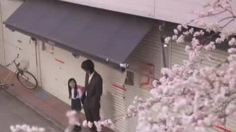 高野健一的樱花三部曲书写了怎样的故事