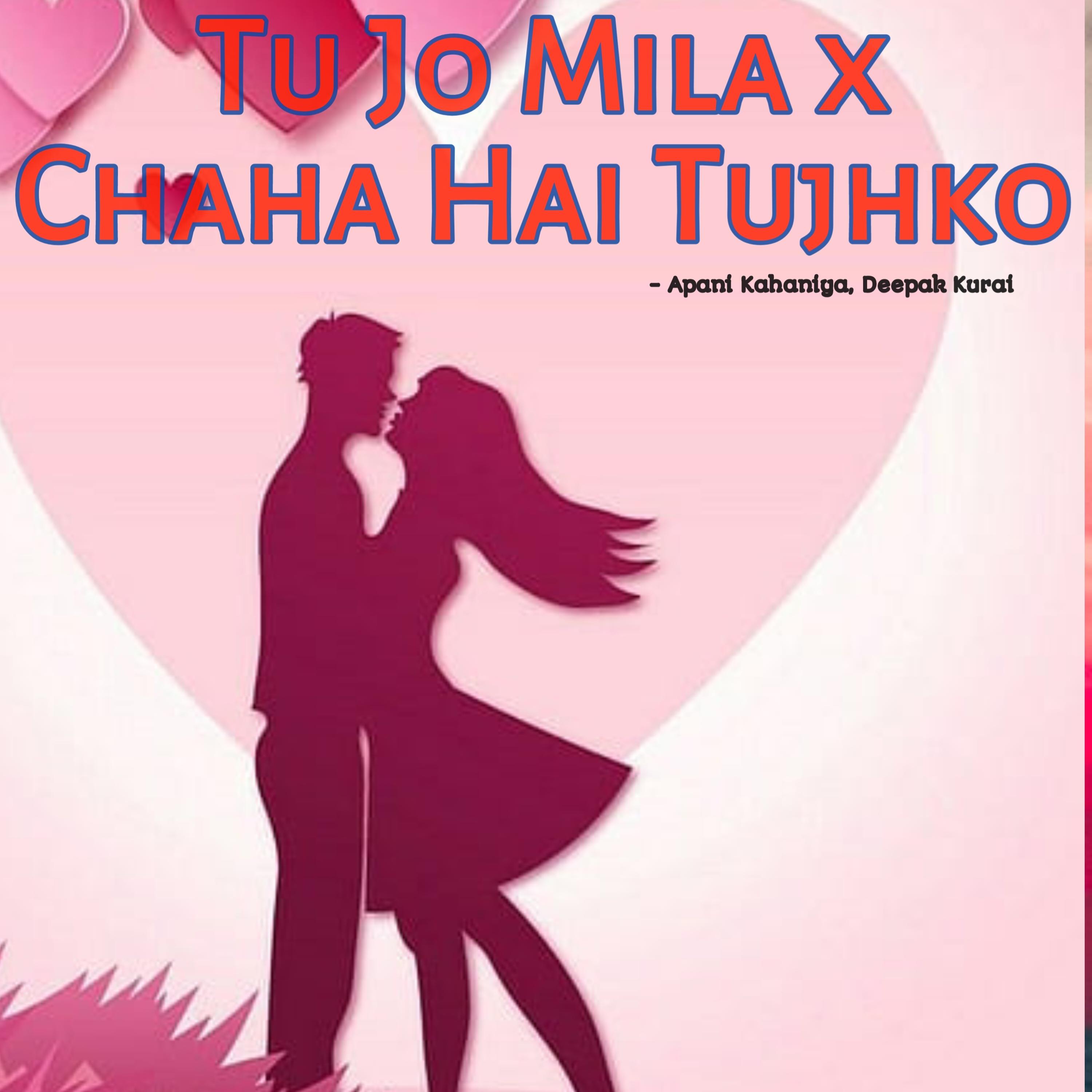 Tu Jo Mila x Chaha Hai Tujhko (Instrumental)