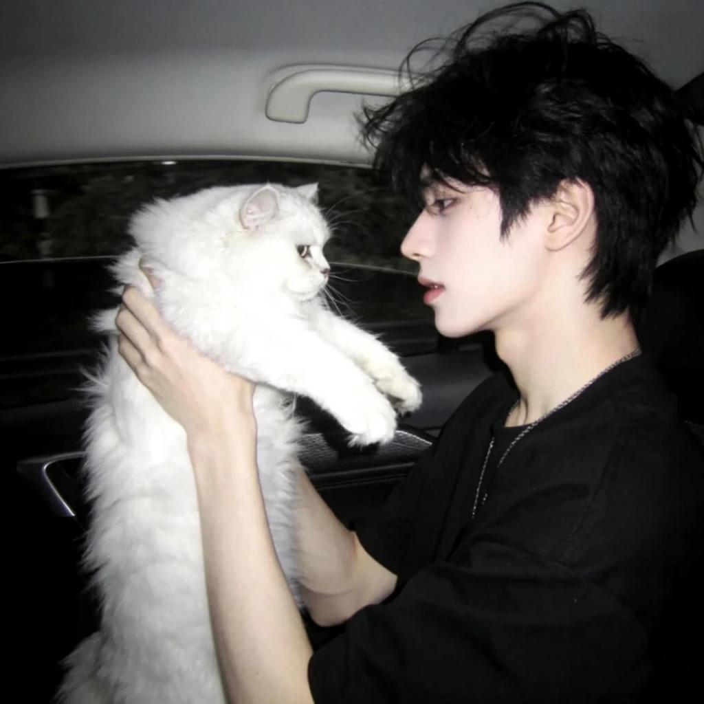 网易云我是认真得