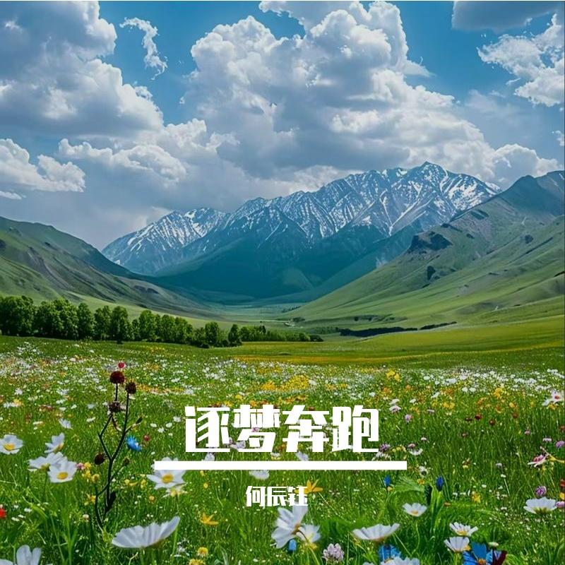 手机静音 - 何辰钰封面