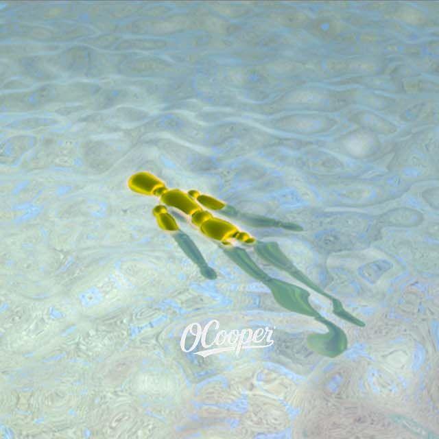 We luv the life of freedom