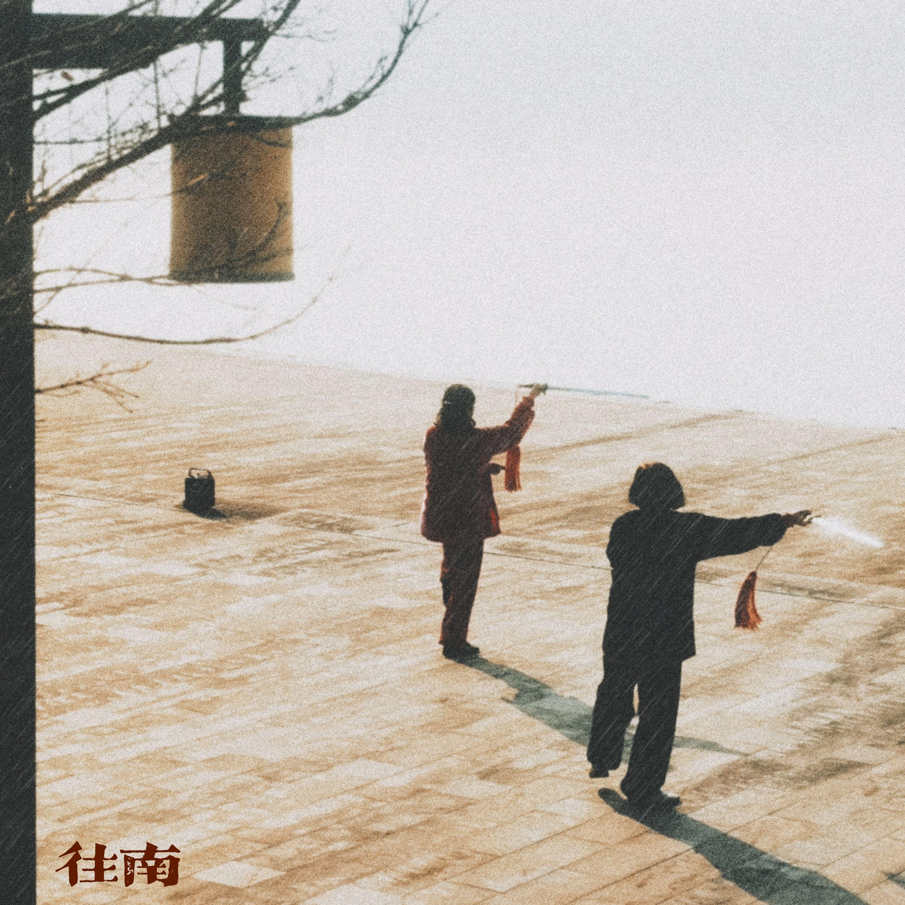 往南封面