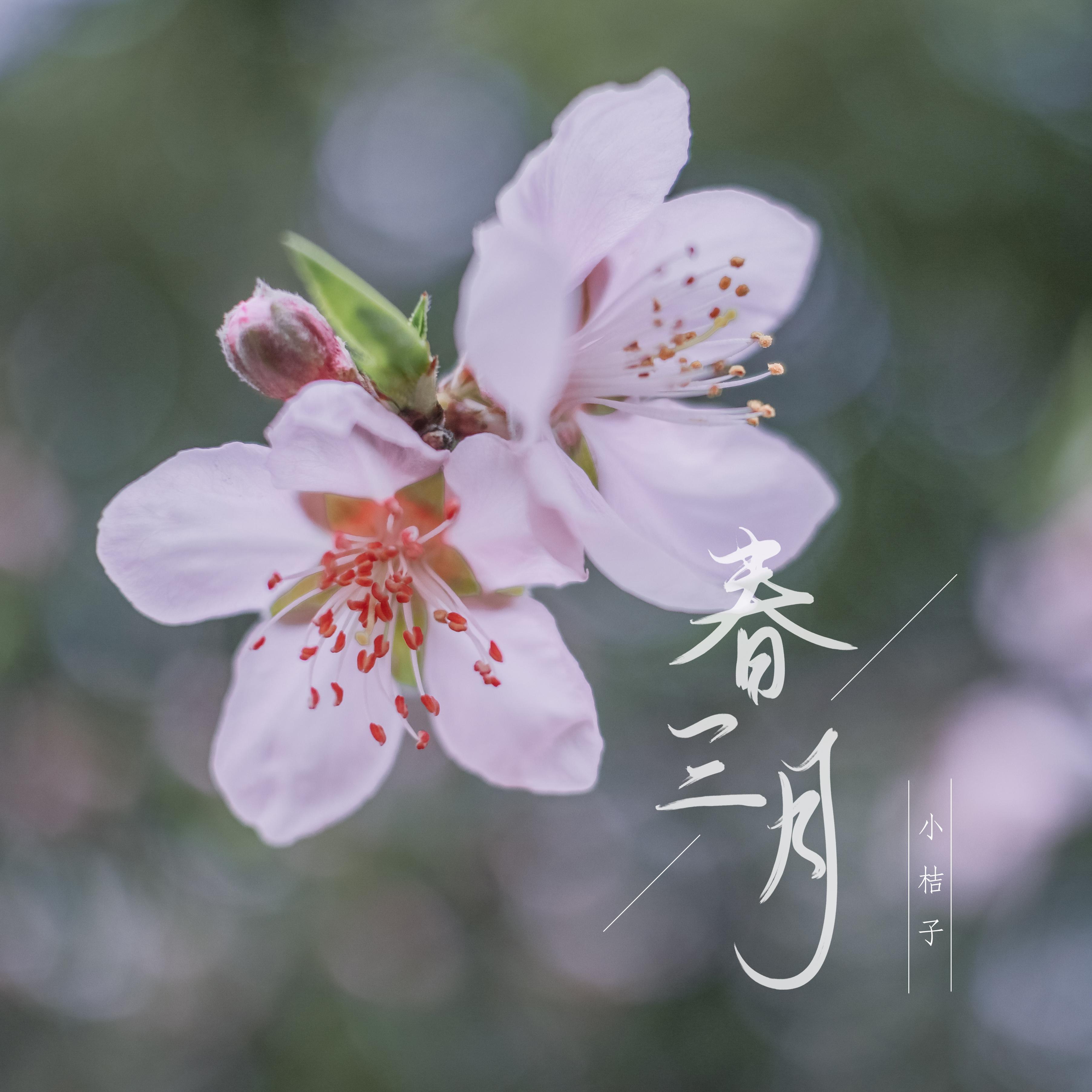 春三月 - 小桔子、HATO唱见组封面