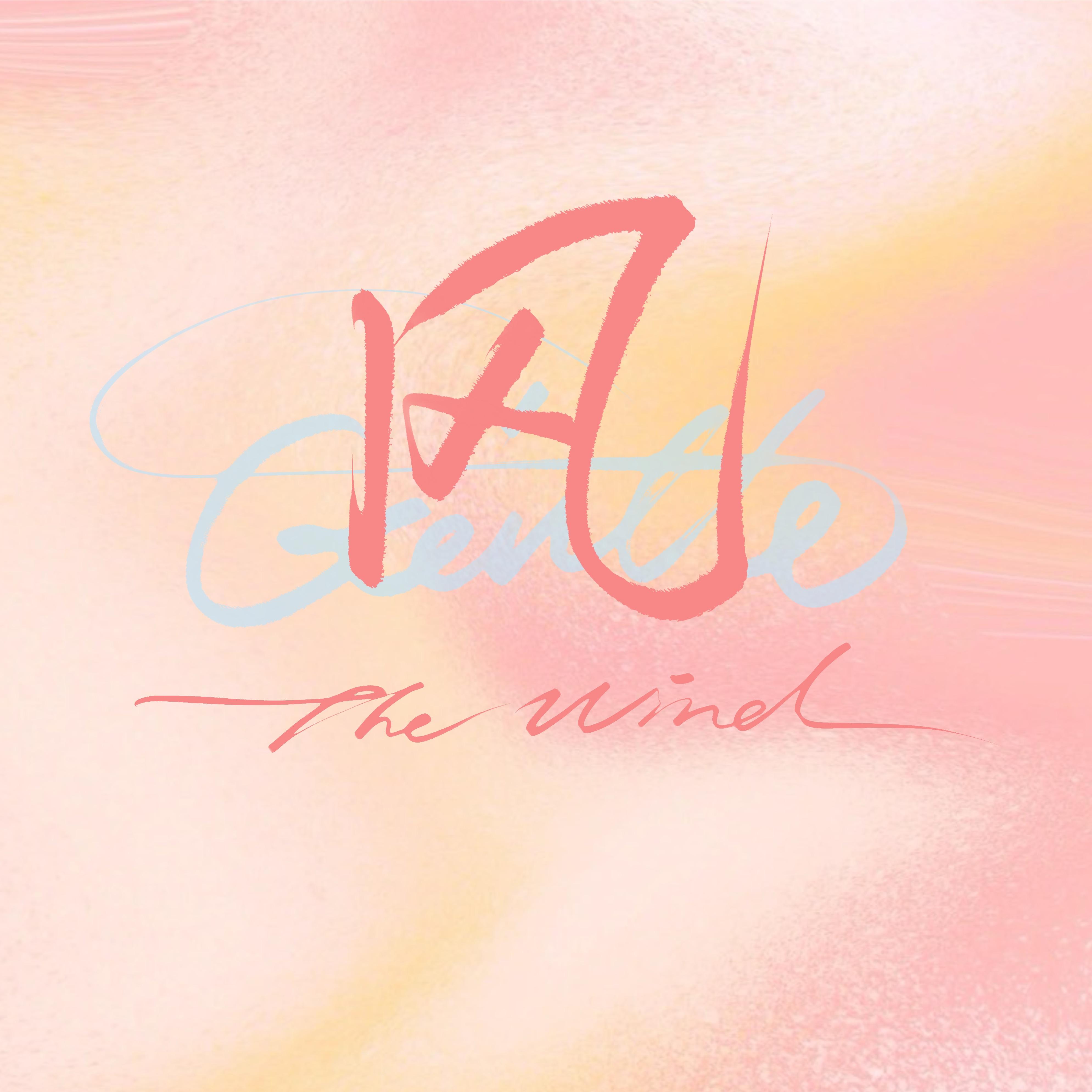 风（Cover.火箭少女101）