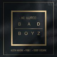 Bad Boyz (feat. Pitbull, Austin Mahone & Bobby Biscayne)