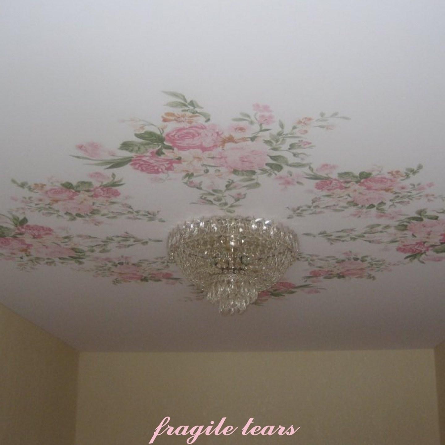fragile tears_awfultune_fragile tears | 在线播放_fragile tears歌词_fragile tears下载 | 网易云音乐