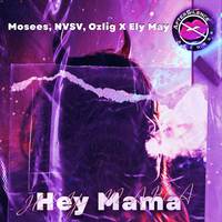 Hey Mama (Slowed + Reverb)