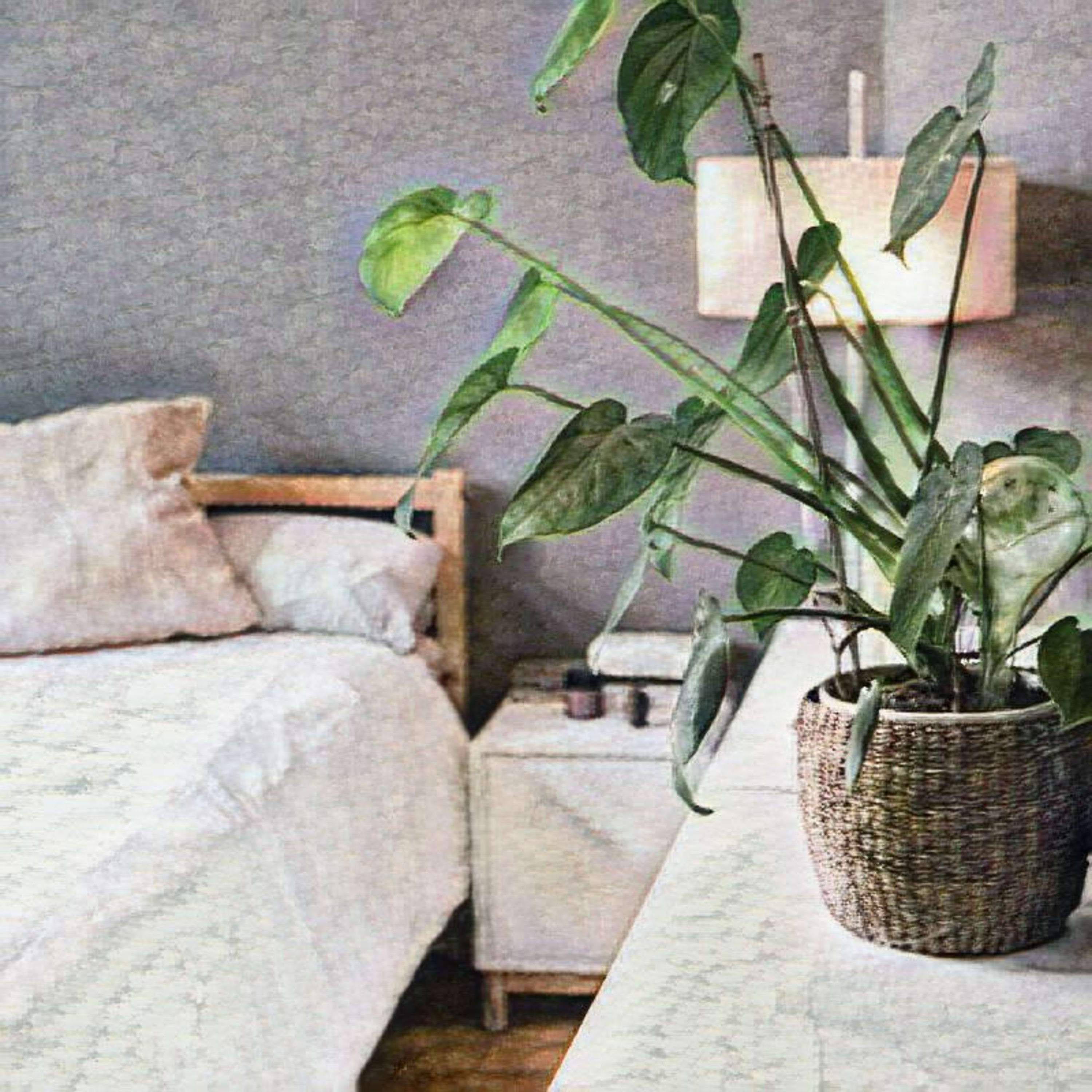 Infinite Bliss Second Sphere of Sleepness