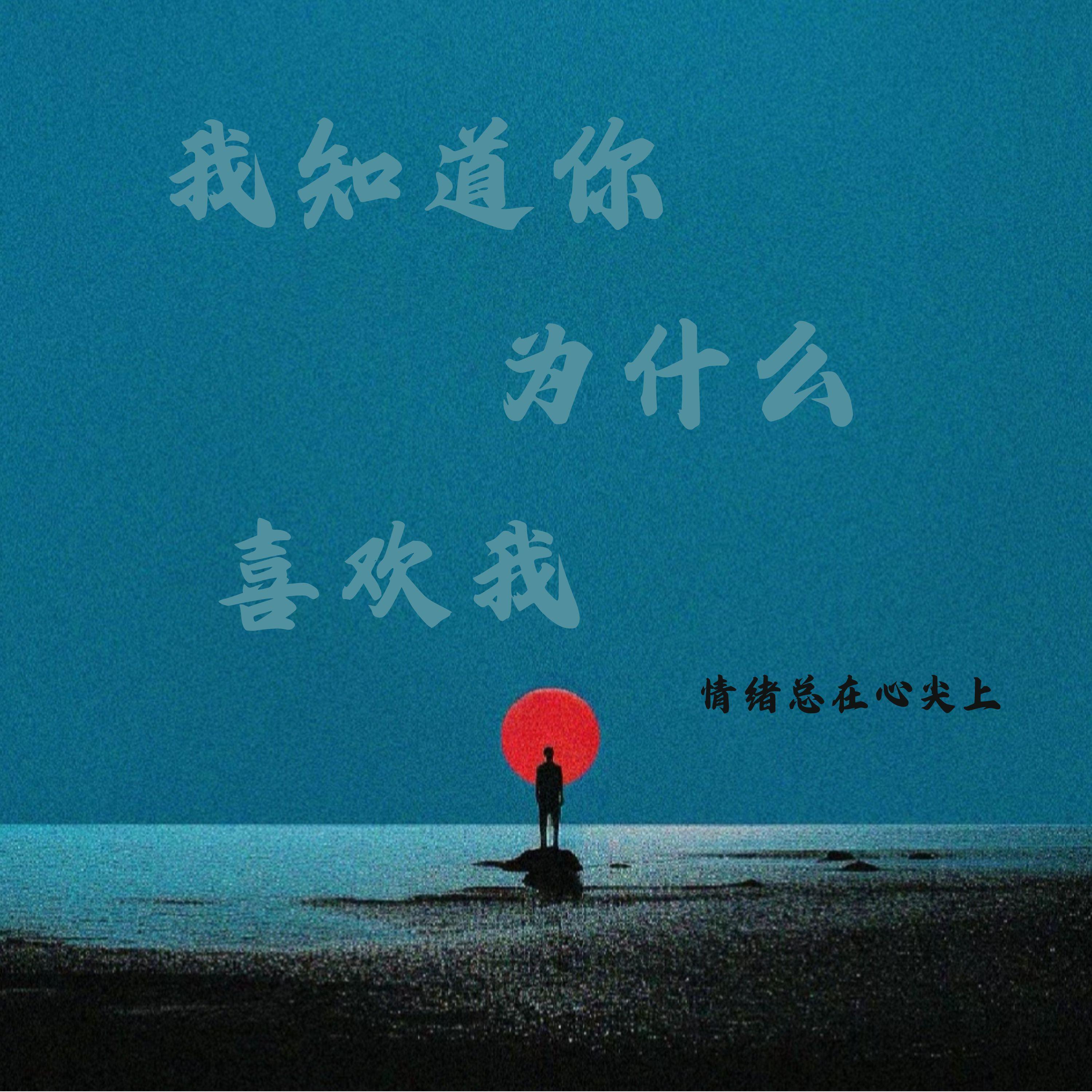 我知道你为什么喜欢我封面
