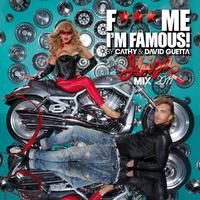 F*** Me I'm Famous 2011 (new version)