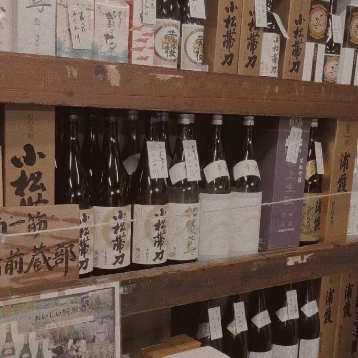 我不是你的宋冬野封面