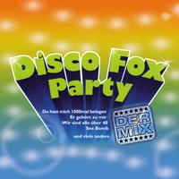 Disco Fox Party