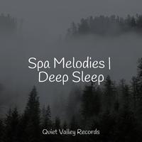 Spa Melodies | Deep Sleep