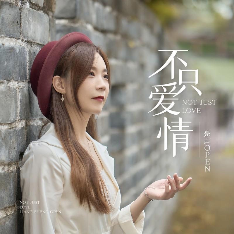 不只爱情封面