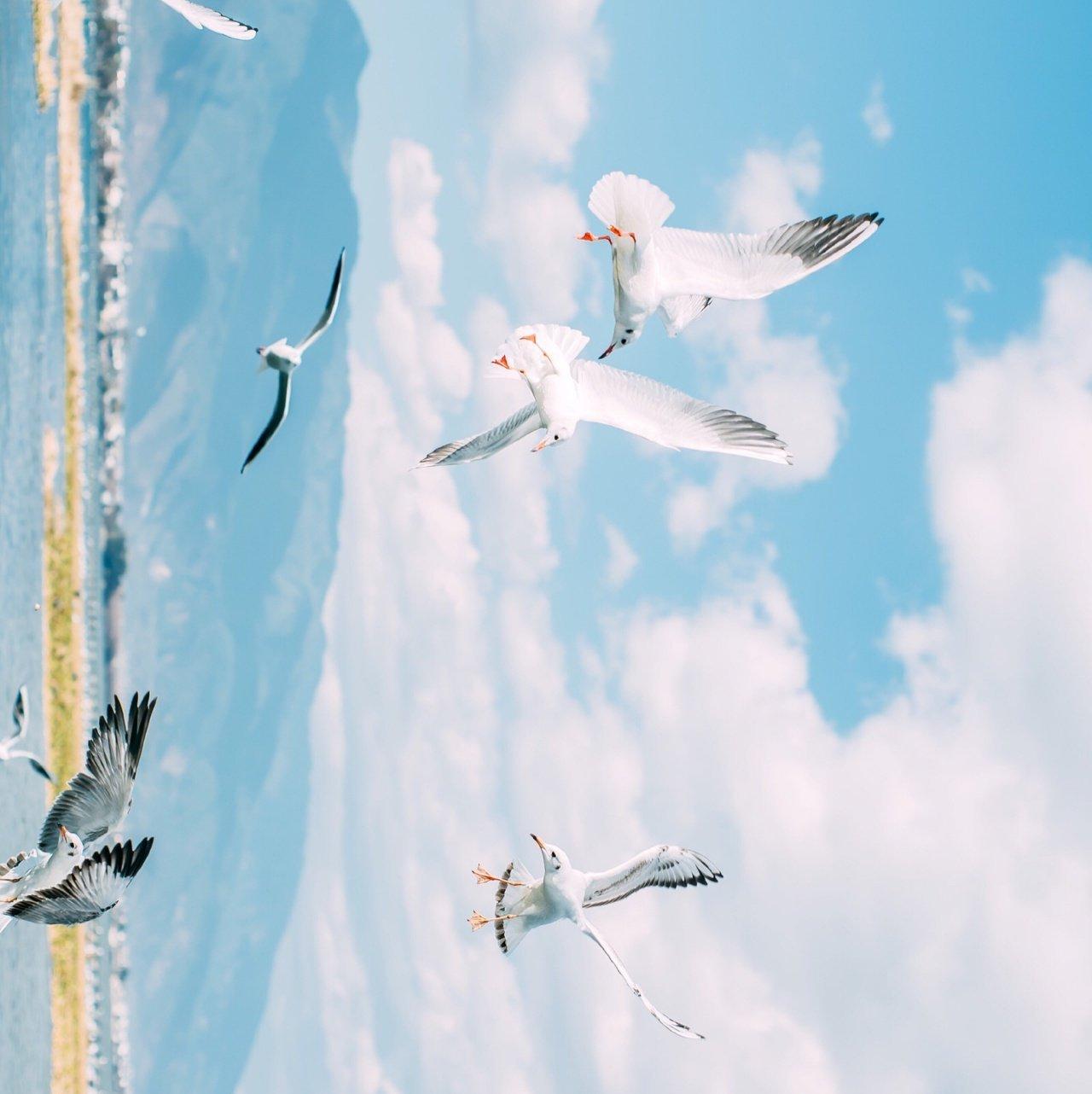 纯音乐/工作/读书/焦虑/失眠时用