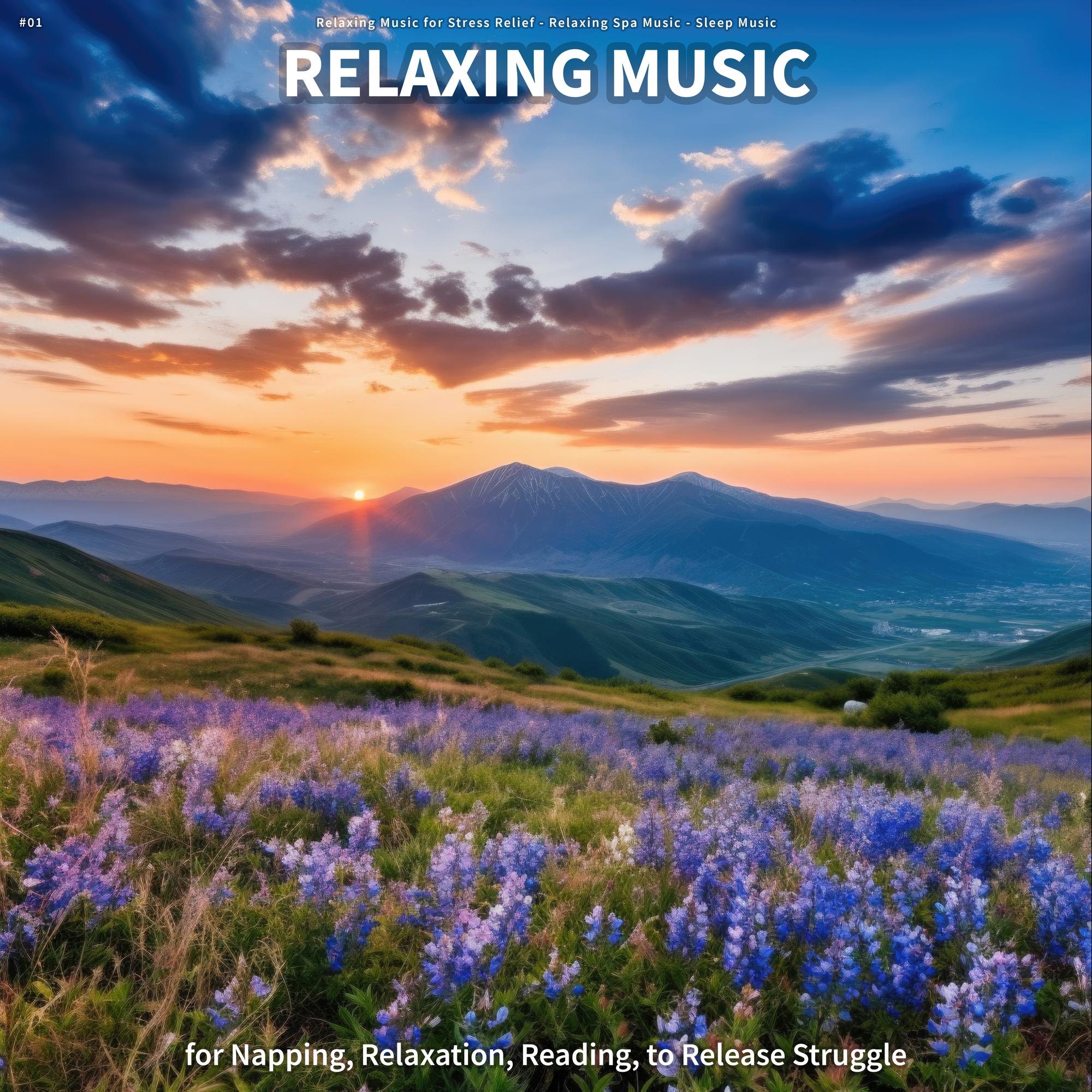 Relaxing Music for Stress Relief