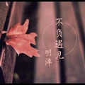 浪花一朵朵 (DJ版)封面