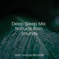 Deep Sleep Mix: Natural Rain Sounds