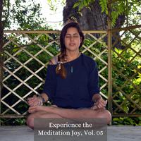 Experience the Meditation Joy, Vol. 05