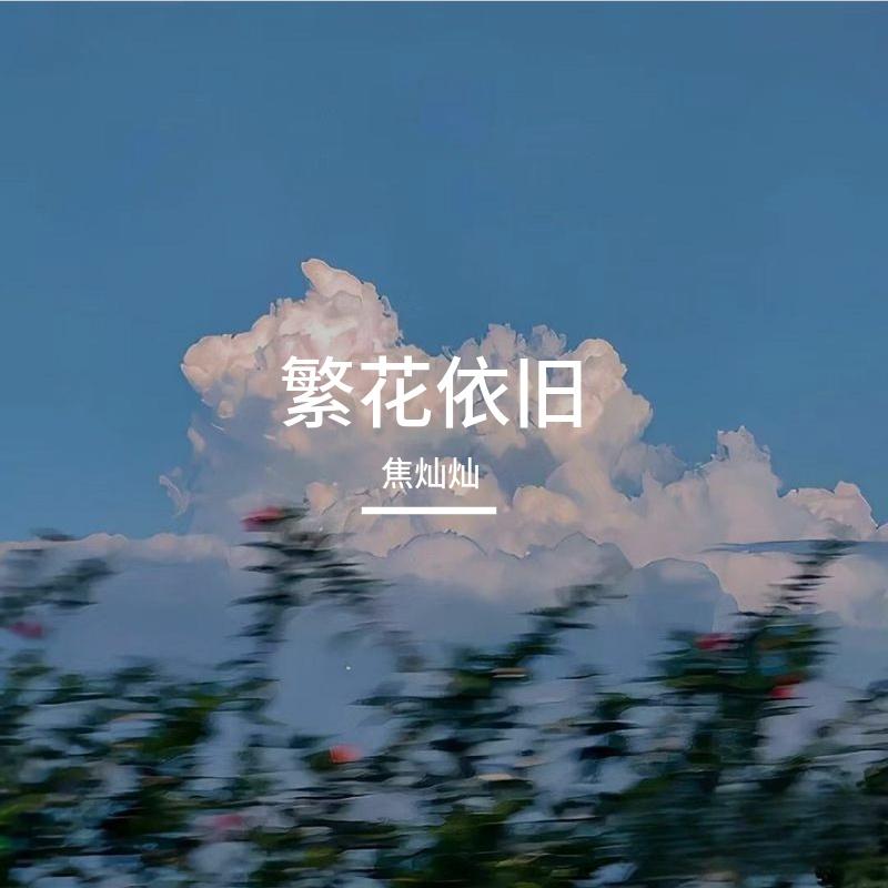 繁花依旧封面