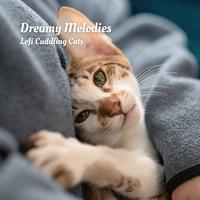 Dreamy Melodies: Lofi Cuddling Cats