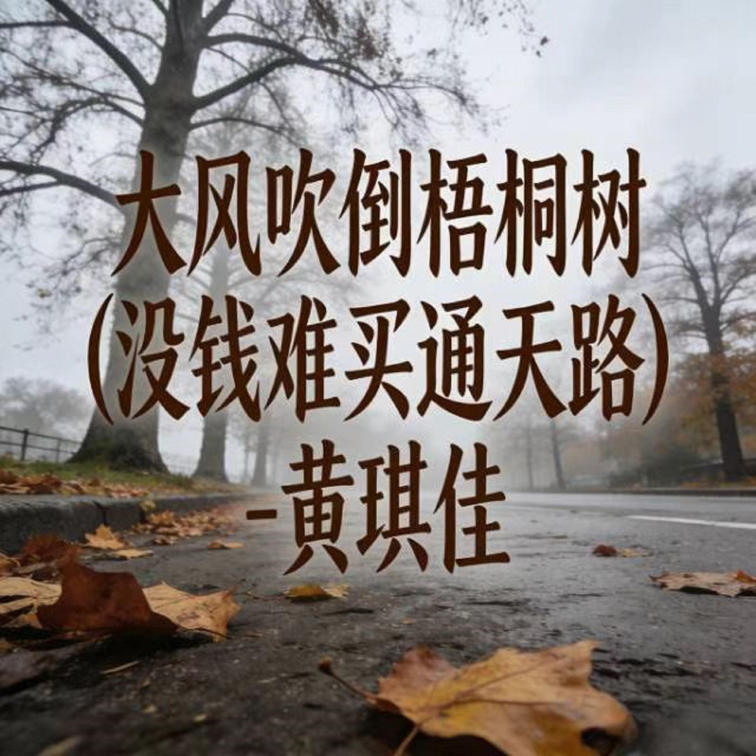 大风吹倒梧桐树 (没钱难买通天路)封面