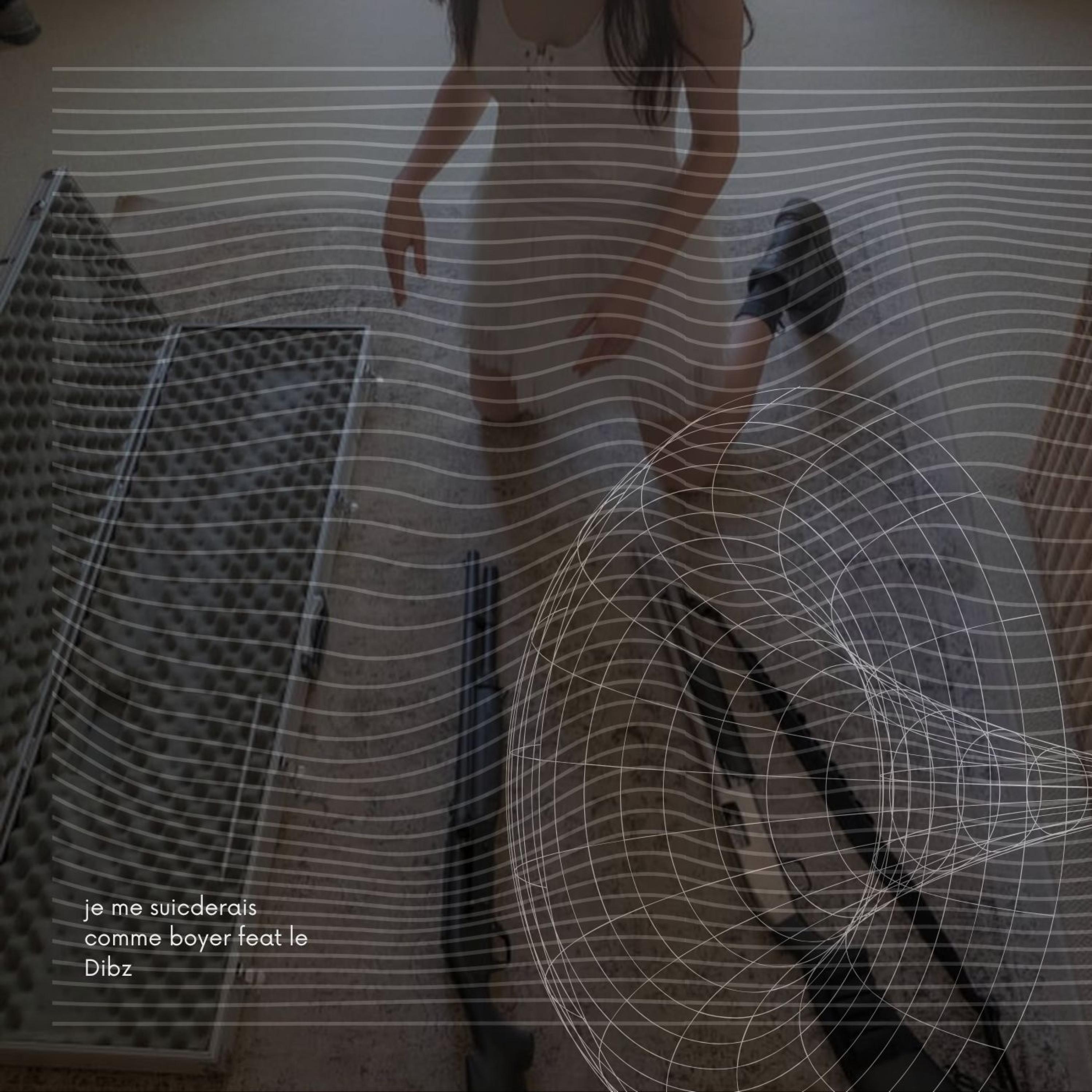 je me suiciderais comme boyer