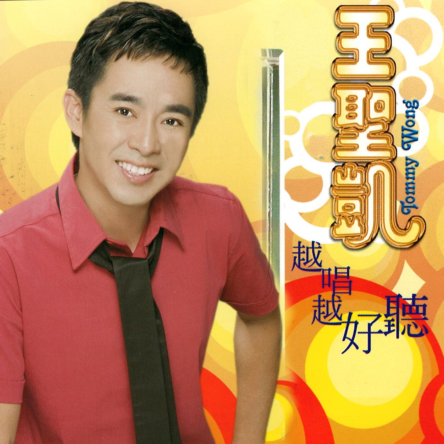 我为你祈祷封面