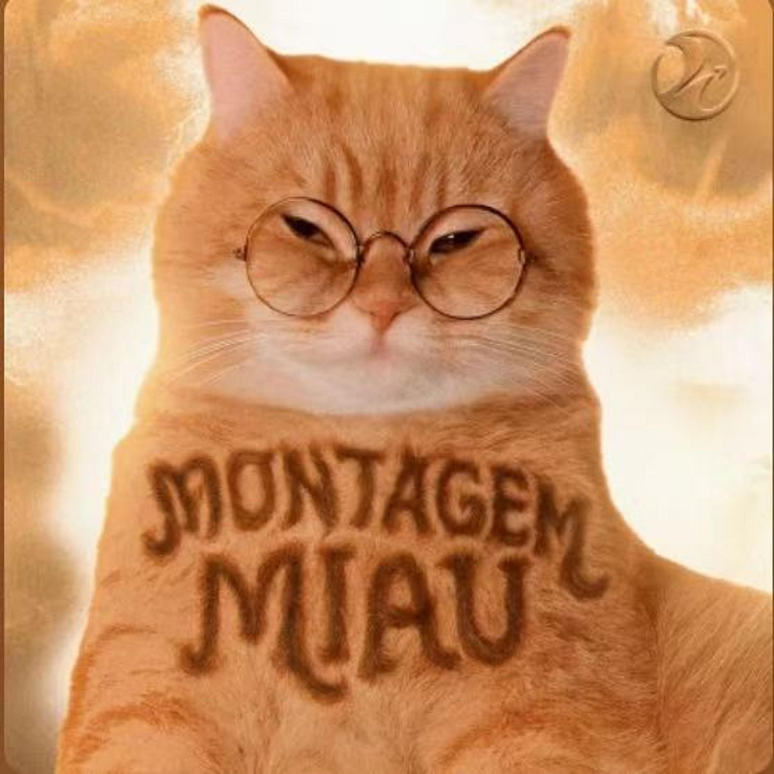 Montagem Miau（爱你的鼻孔喵喵）