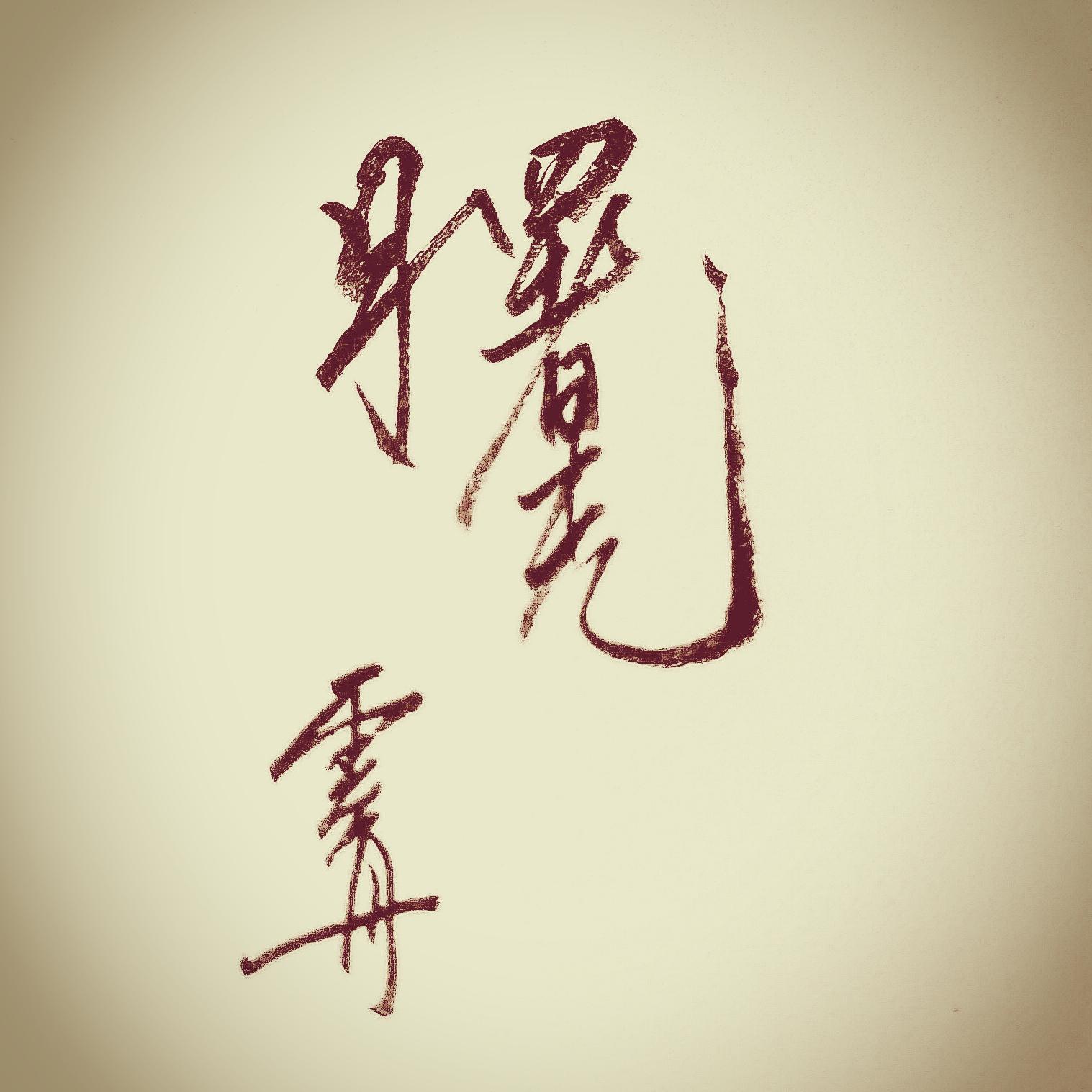 梦的方向封面