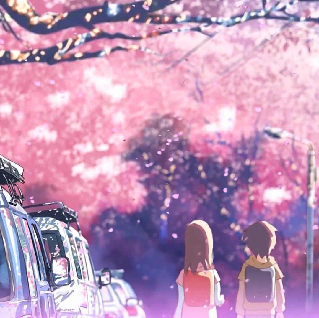 七里香 (Common Jasmine Orange)