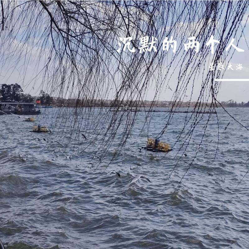沉默的两个人 - 小卿ovo封面