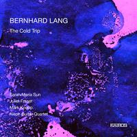 Bernhard Lang: The Cold Trip