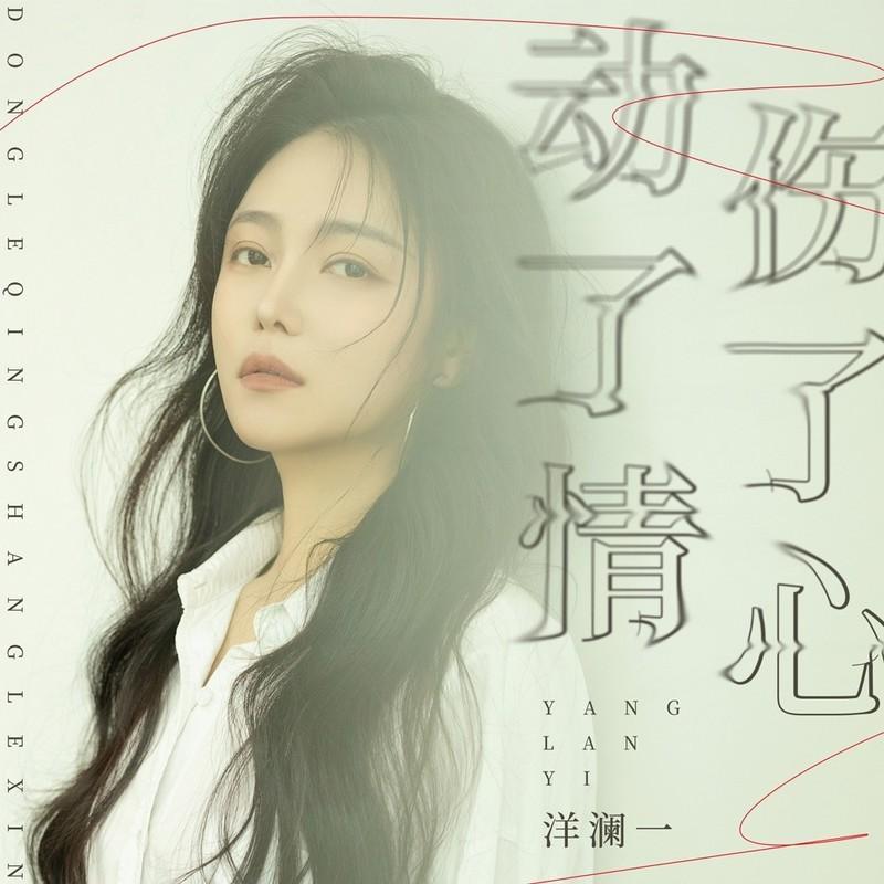 动了情伤了心(DJ版)封面