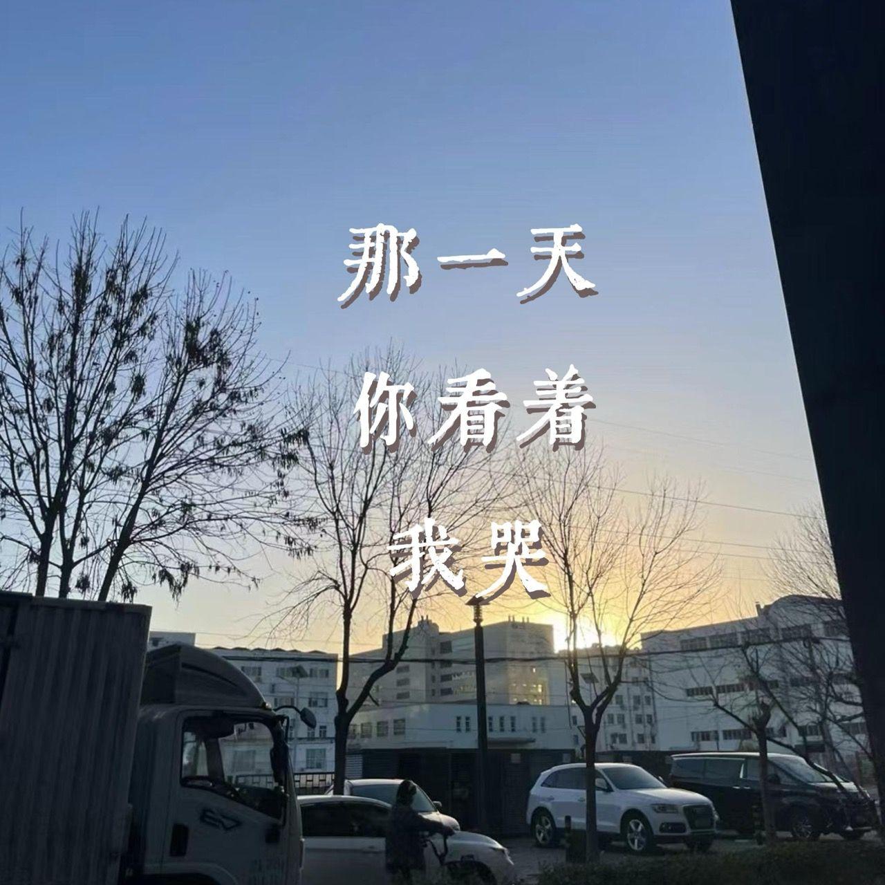 那一天你看着我哭封面
