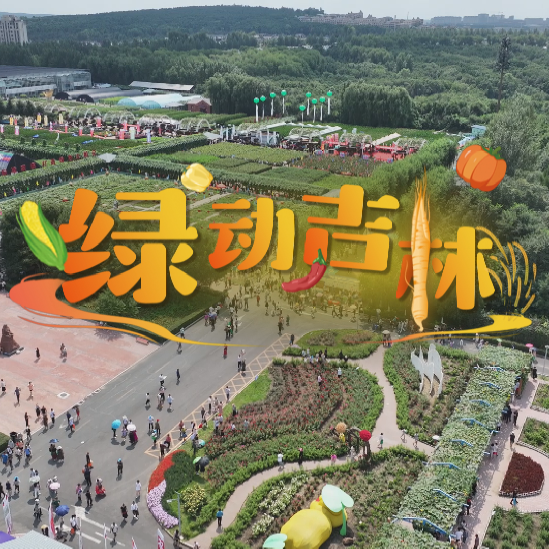 绿动吉林（作词：唐敏 作曲：毕子超 版）封面